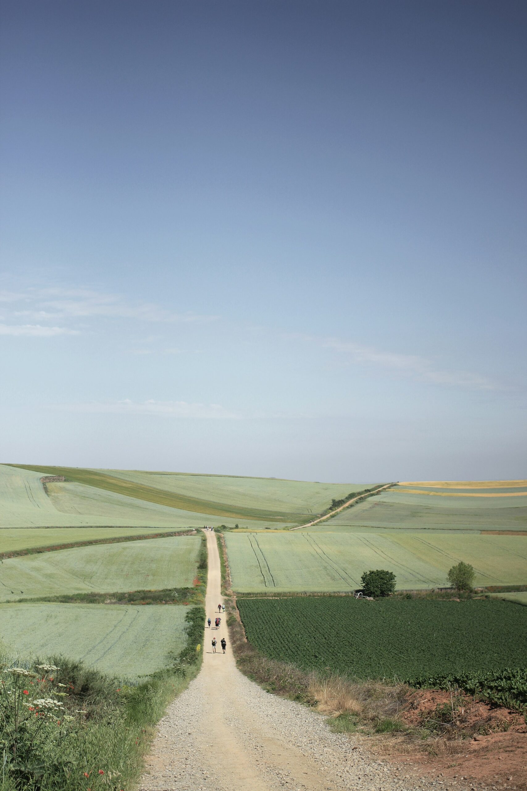 Useful Tips How a Pilgrimage Can be Good for the Soul