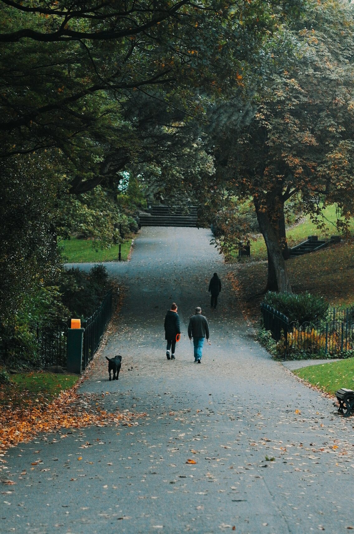 City, Suburbs or Countryside: Which Should You Choose?