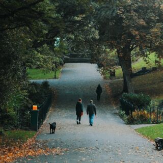 Couples’ Getaways for the Adventurous Romantic