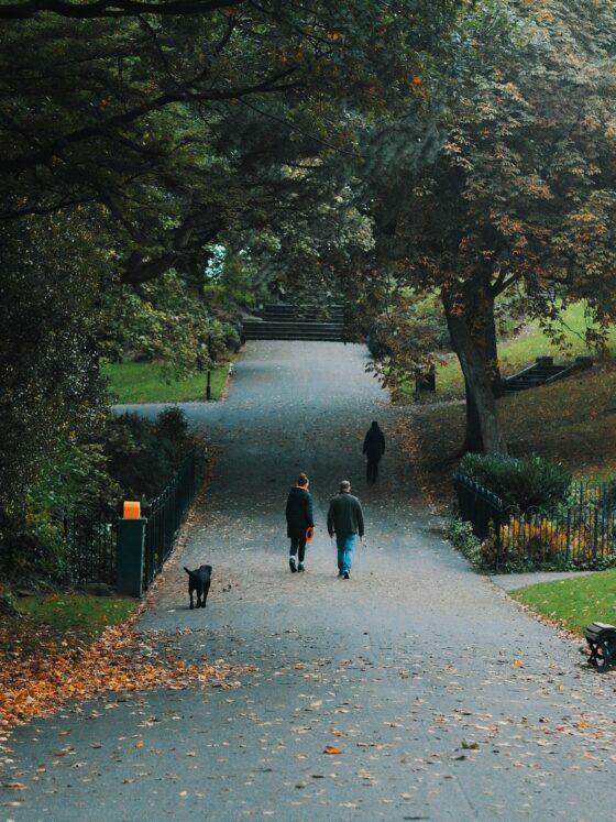 City, Suburbs or Countryside: Which Should You Choose?