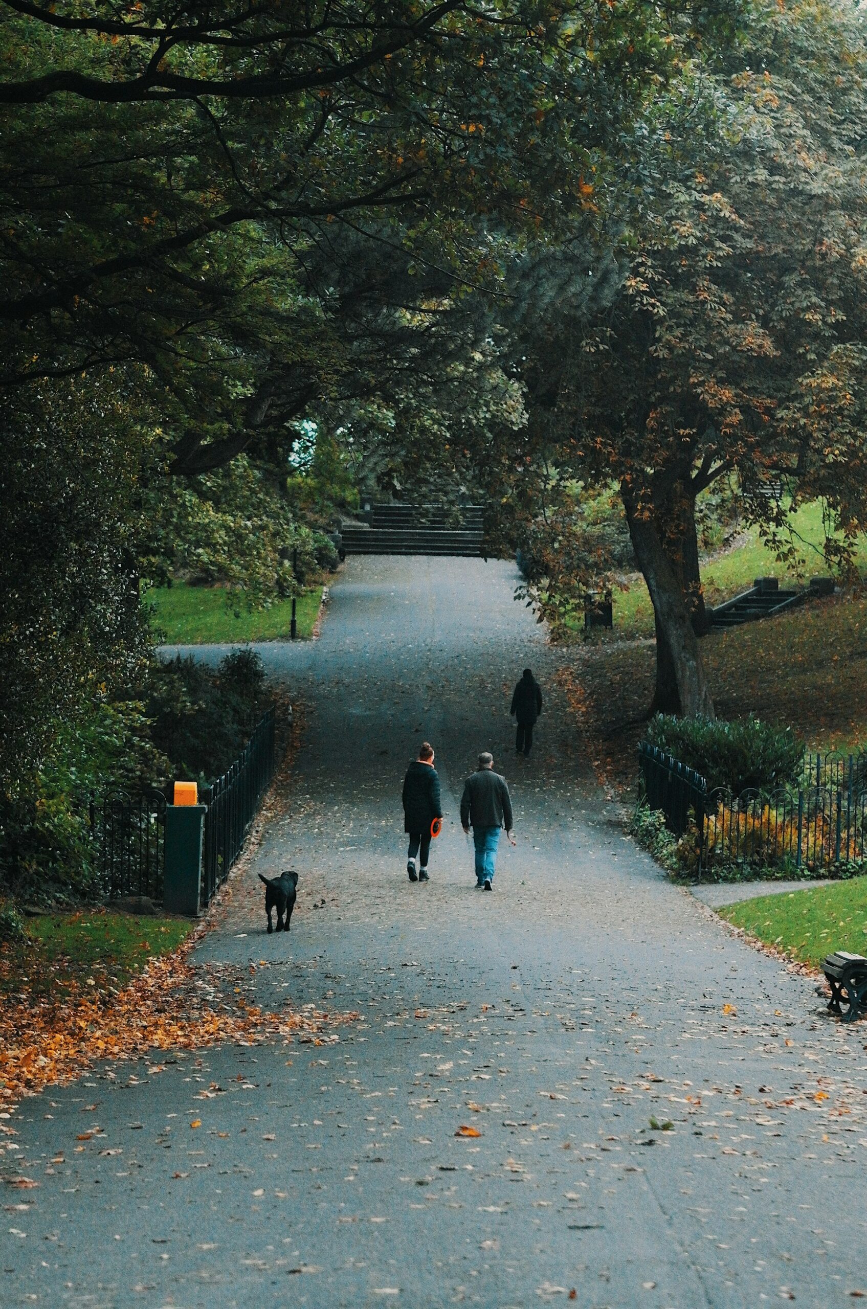 Chosing between City, Suburbs or Countryside