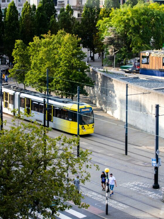 Staying Safe When Crossing the Road