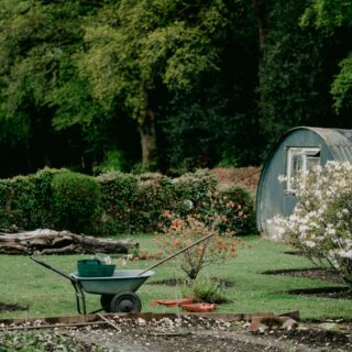 City, Suburbs or Countryside: Which Should You Choose?