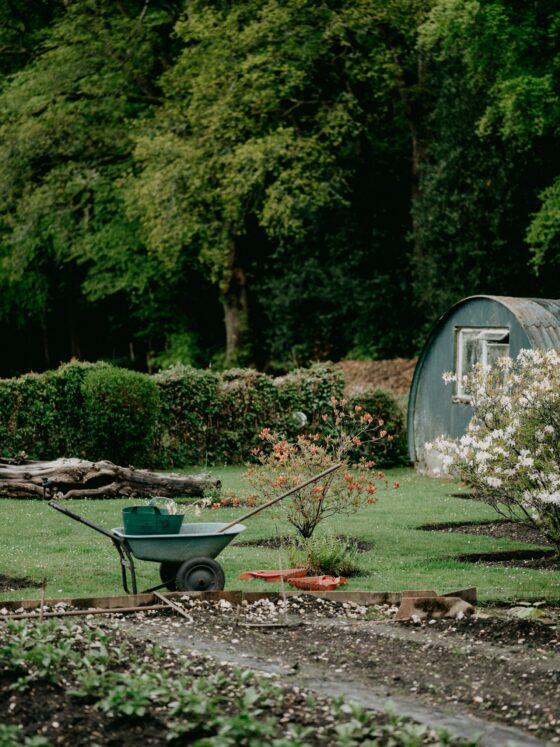 What Hobbies Will Always Be Timeless?