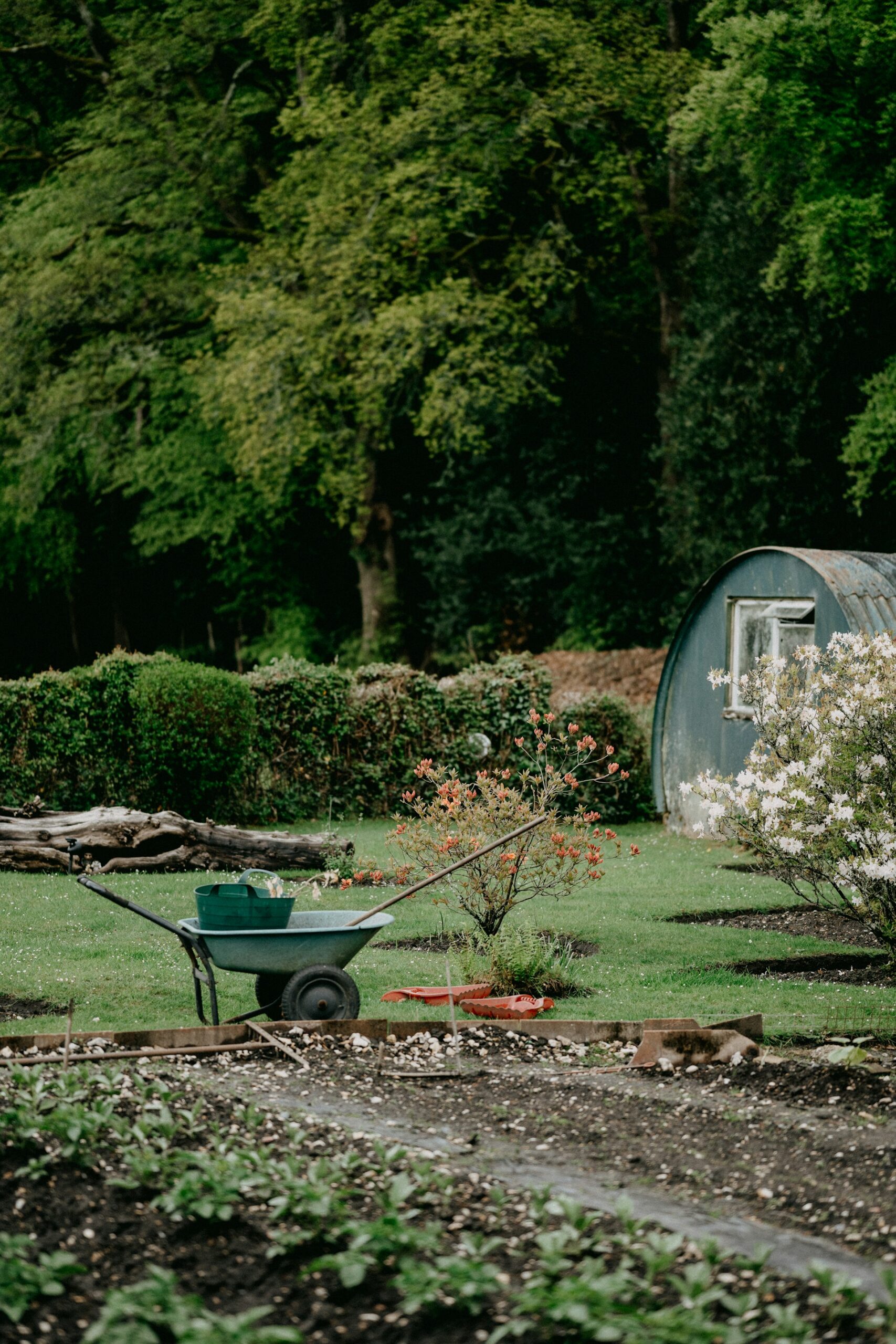 Timeless hobbies you can start enjoying today - gardening