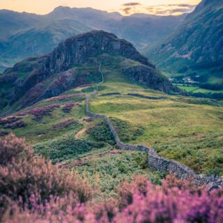 How to Move House Without Any Stress