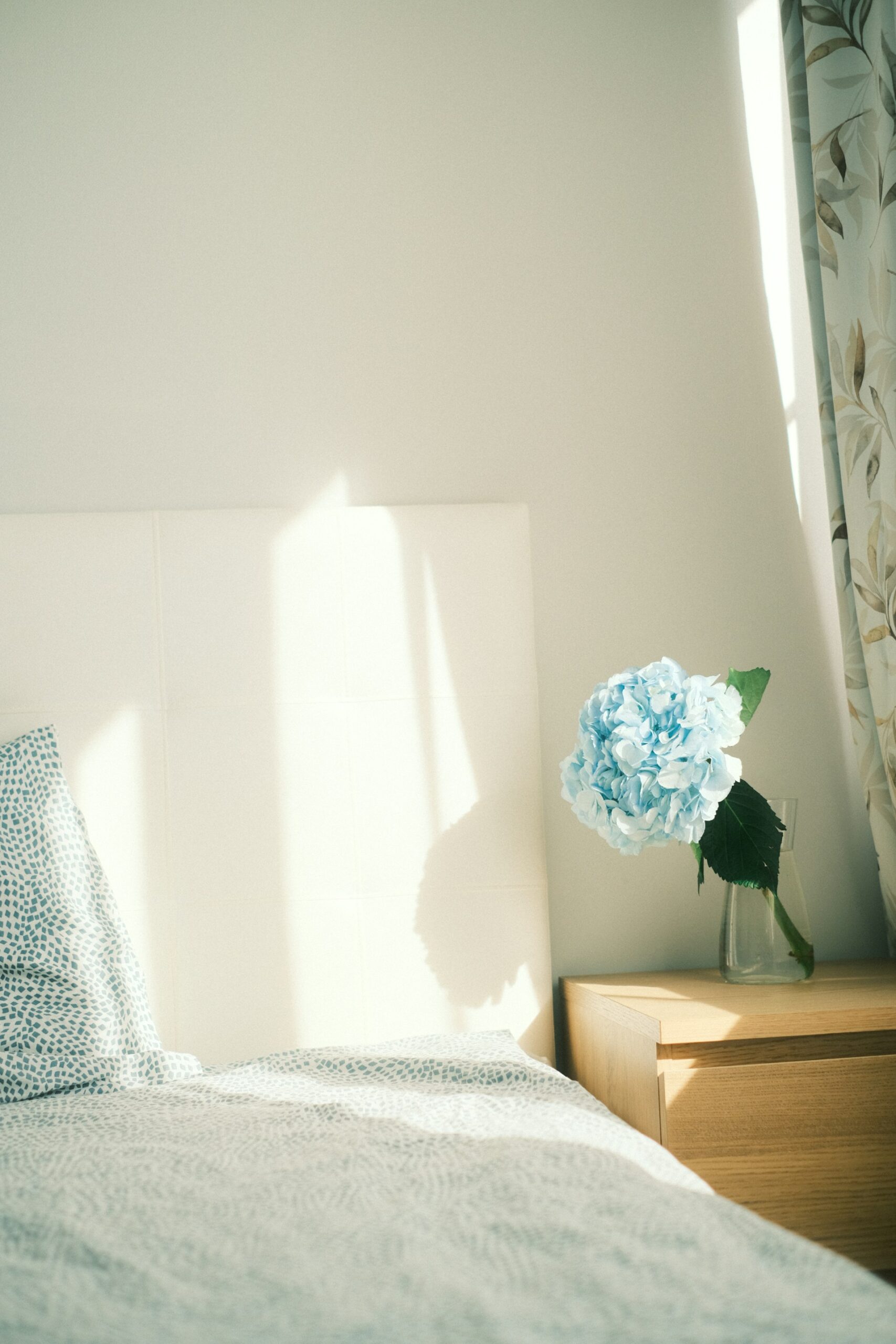 How to Build a Home that Supports Good Habits