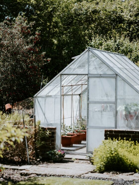 How to Create a Year-Round Kitchen Garden at Home