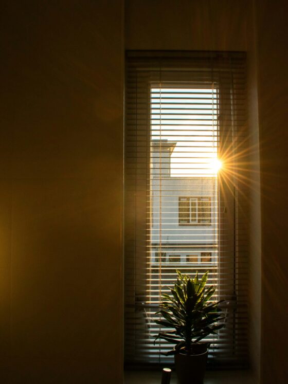 7 Morning Routines That Set the Tone for a Productive Day