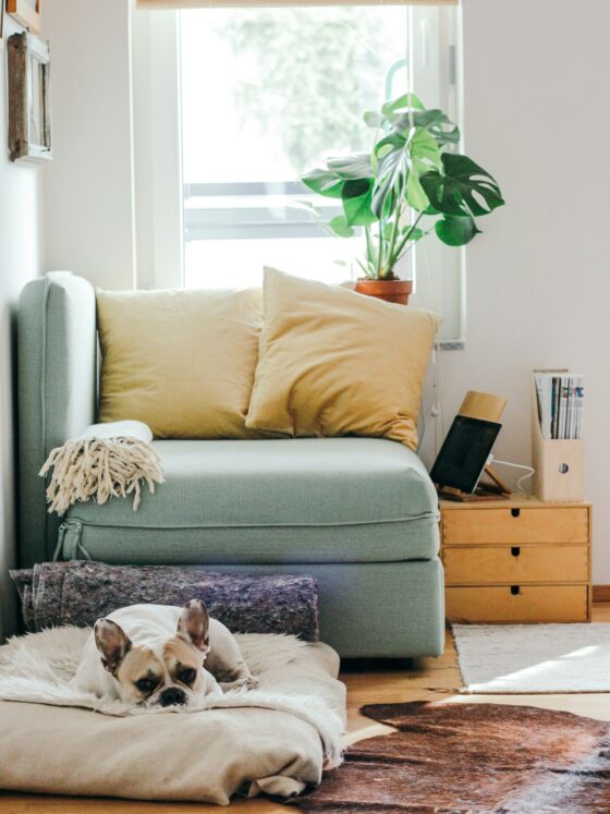 What are the Best Home Improvements When it Comes to Home Security?