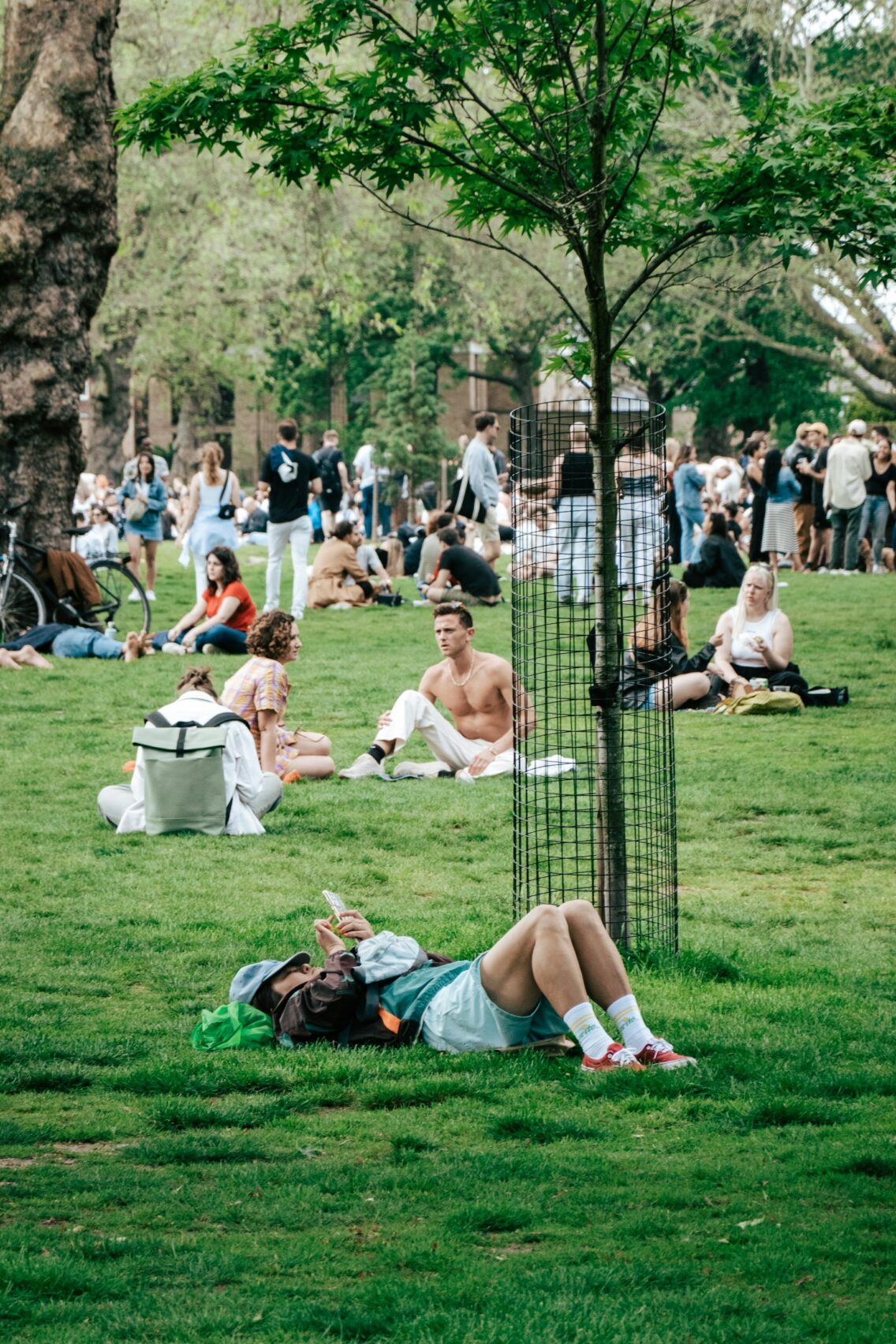 2026 Summer Entertainment Ideas
